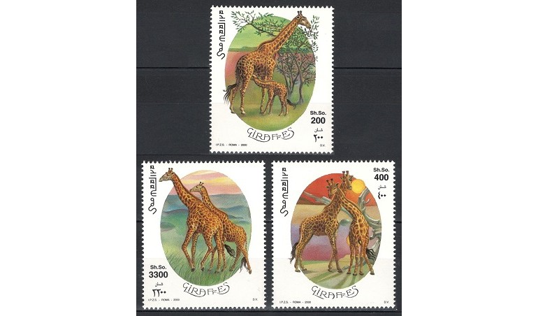 SOMALIA 2000 - GIRAFE - SERIE DE 3 TIMBRE - NESTAMPILATA - MNH - COTA MICHEL :15 E / fauna531
